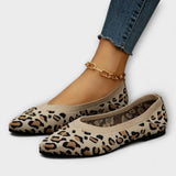 Paula - Čipkasti čevlji z leopardjim vzorcem